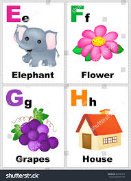 Flashcard